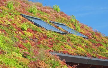 Llanwrthwl living roof systems